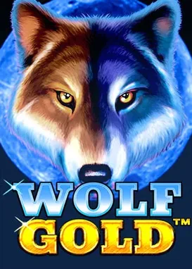 Złoty wilk na prerii - popularny slot z jackpotami money respin.